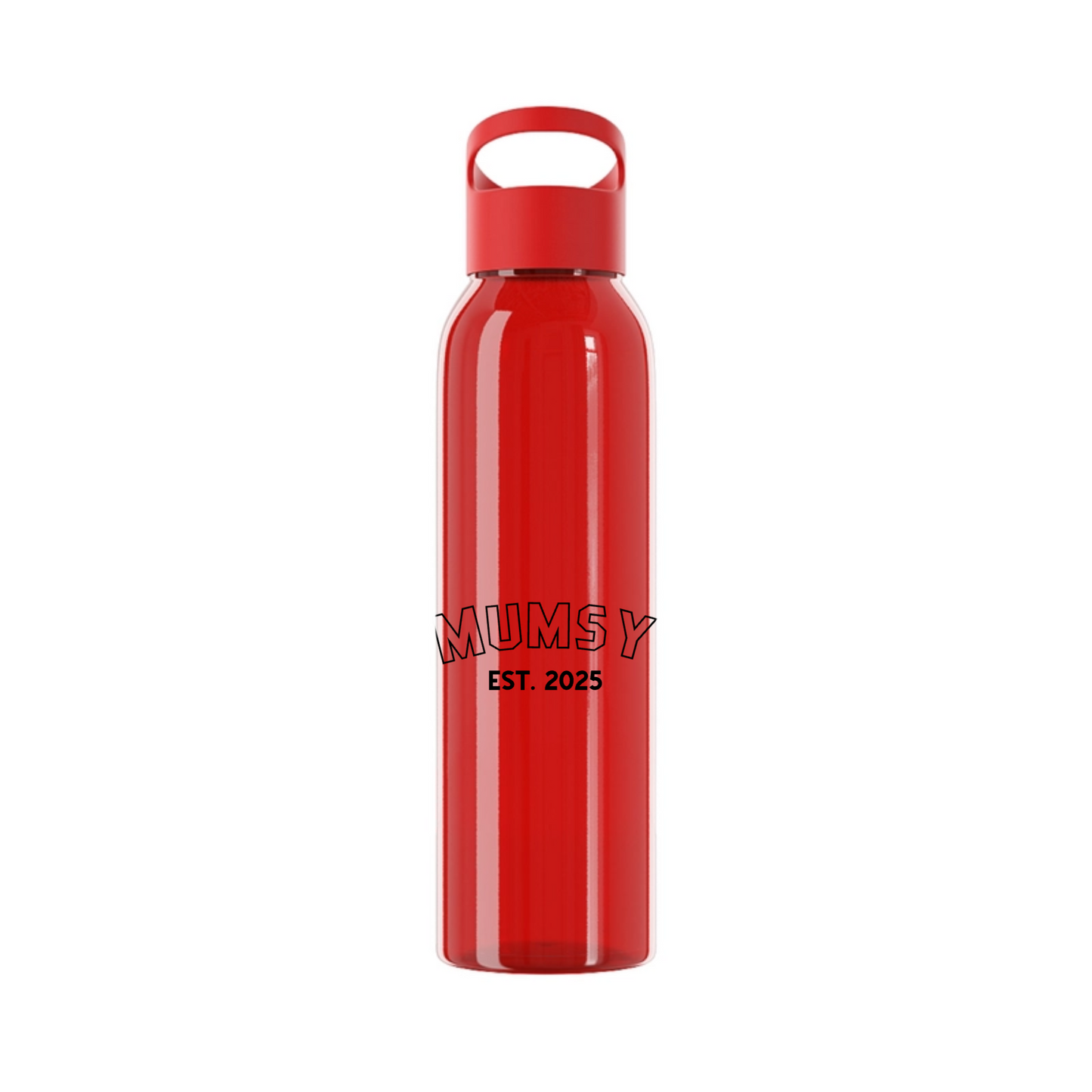 Established Wasserflasche 650ml