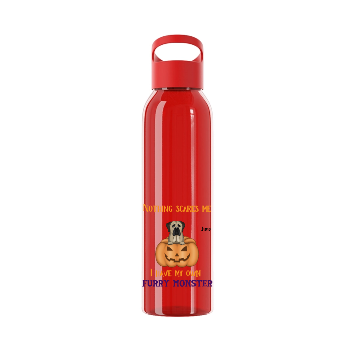 Nichts macht mir Angst Halloween Wasserflasche 650 ml