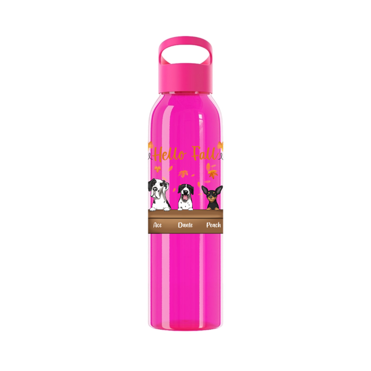 Hallo Herbst Wasserflasche 650 ml