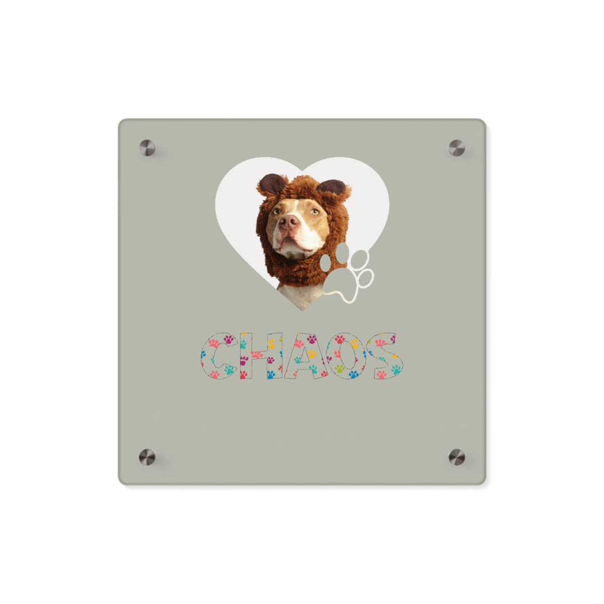 Pet Photo Acrylic Wall Art Panel