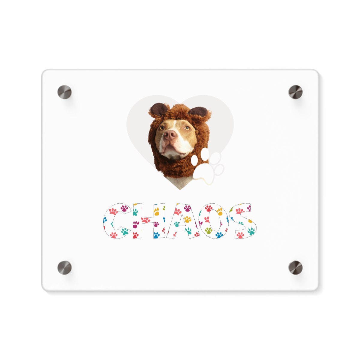 Pet Photo Acrylic Wall Art Panel
