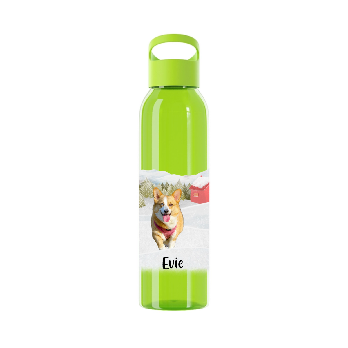 Weihnachten mit meinem Haustier Wasserflasche 650ml