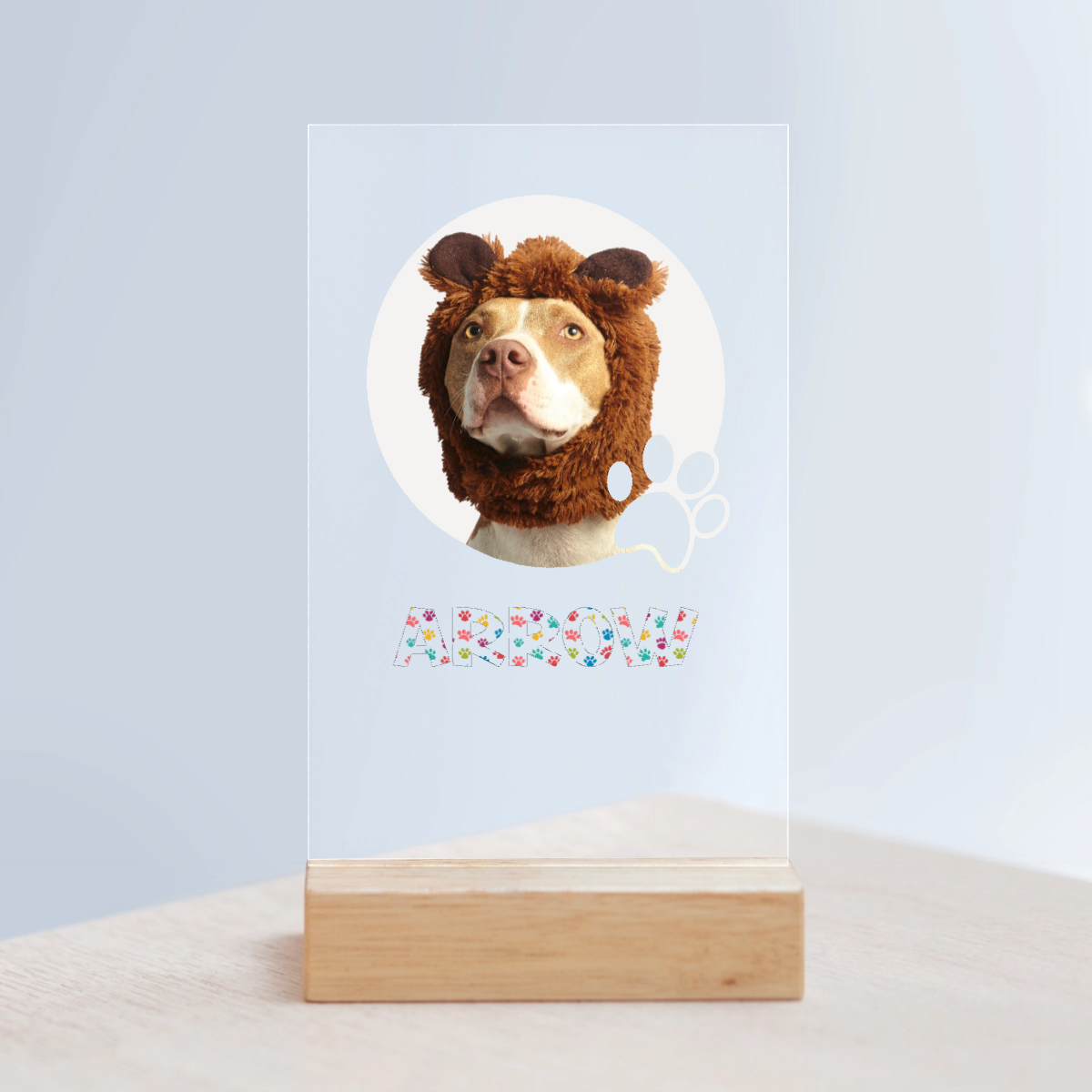 Haustierfoto Acrylschild mit Holzständer