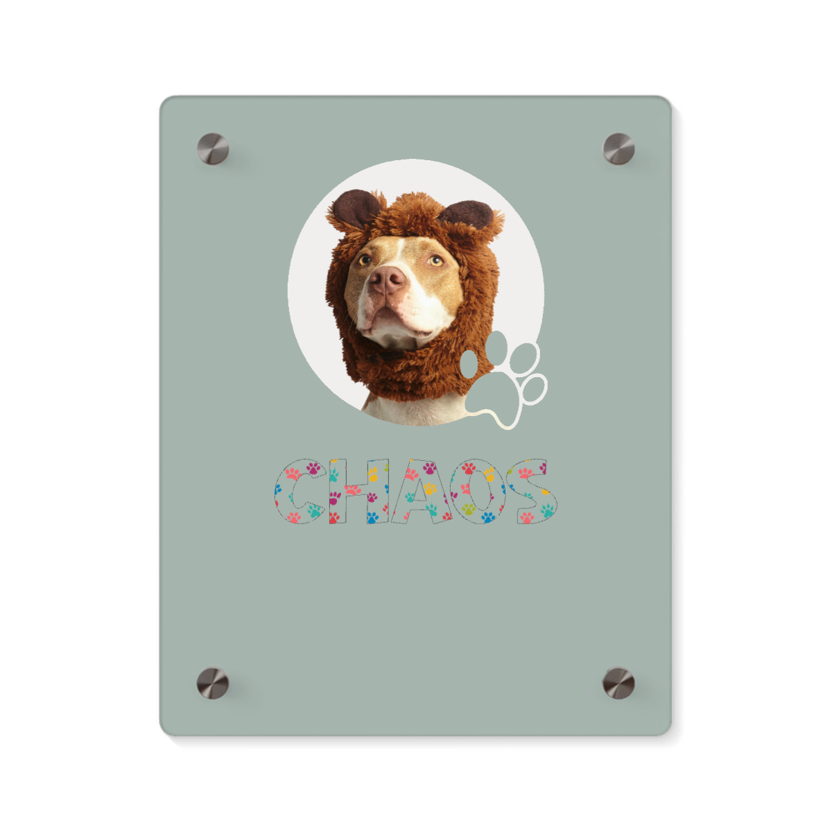 Pet Photo Acrylic Wall Art Panel